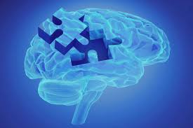 wheat from organic farms