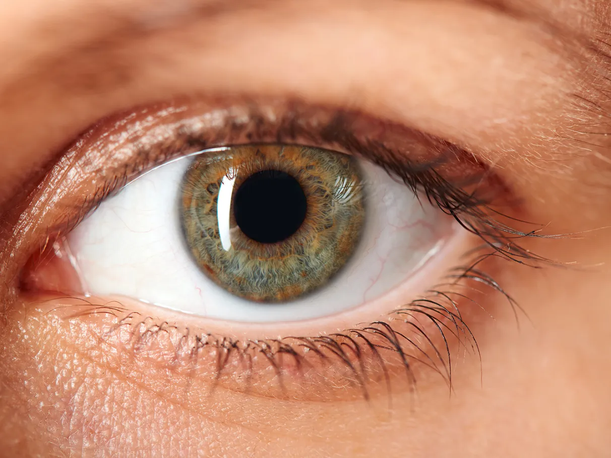 cashew butter cashew butter